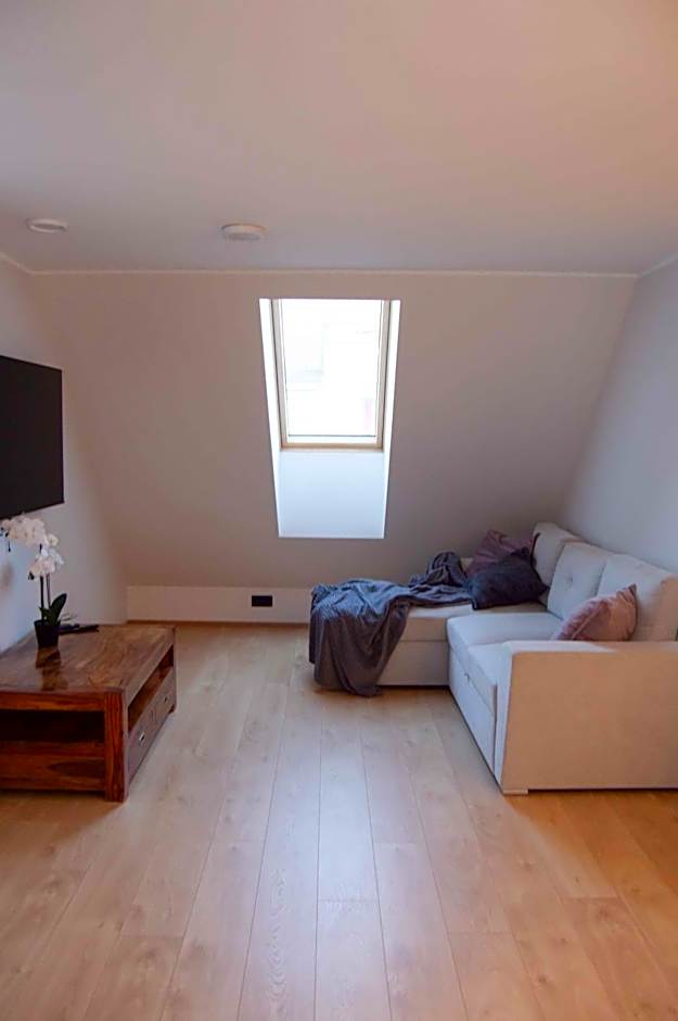 Suur-Posti Apartments