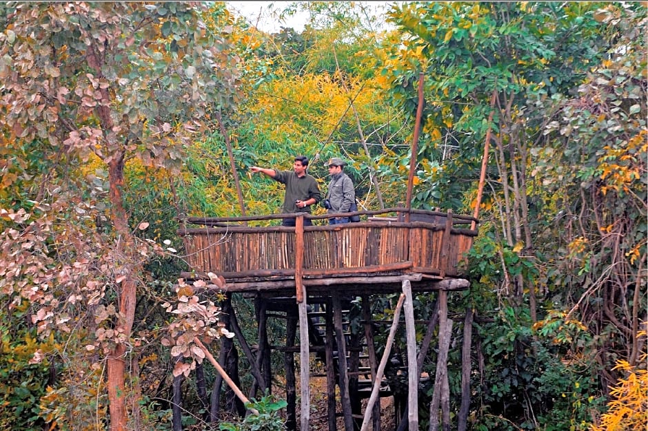 Pugdundee safaris - Tree House Hideaway
