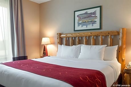 1 King Bed, Suite, Nonsmoking