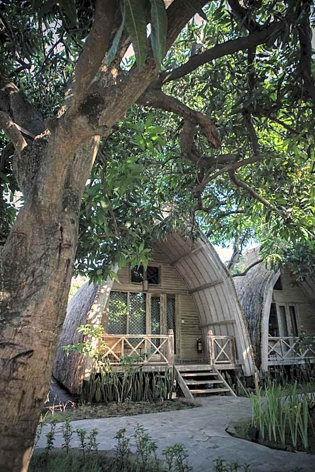 Flowers & Fire Yoga Garden