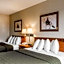 Quality Inn & Suites Montrose - Black Canyon Area