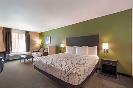 Large King Room