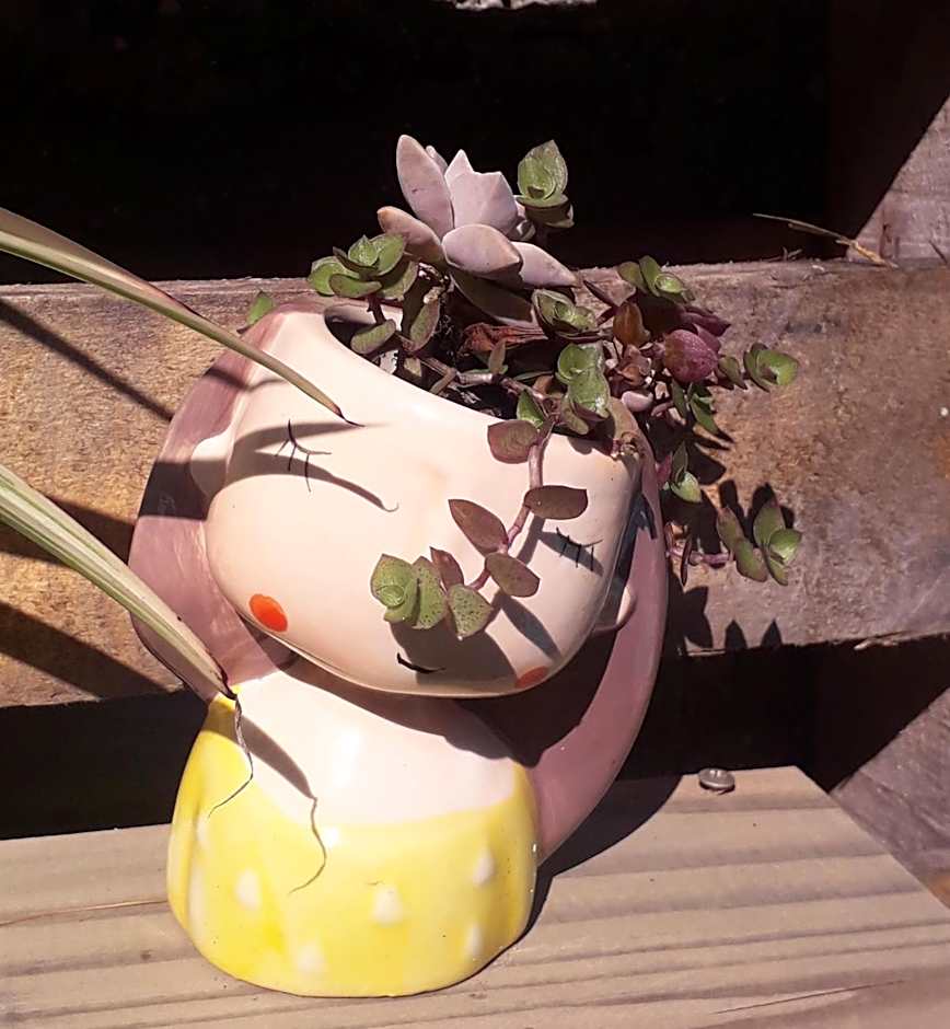 Pousada Beach Eco House Floripa Com Ar Condicionado