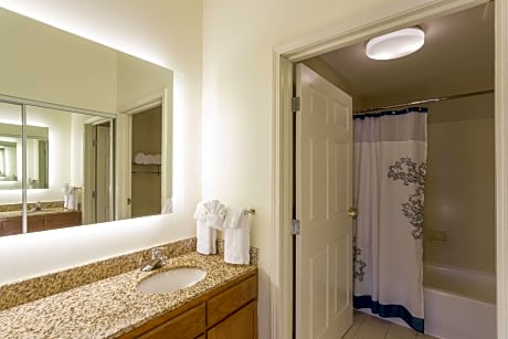 Suite, 1 Bedroom (1 Queen Bed and 1 Double Sofa Bed)