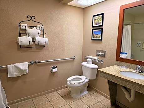 1 King Bed, Suite, Nonsmoking, Accessible