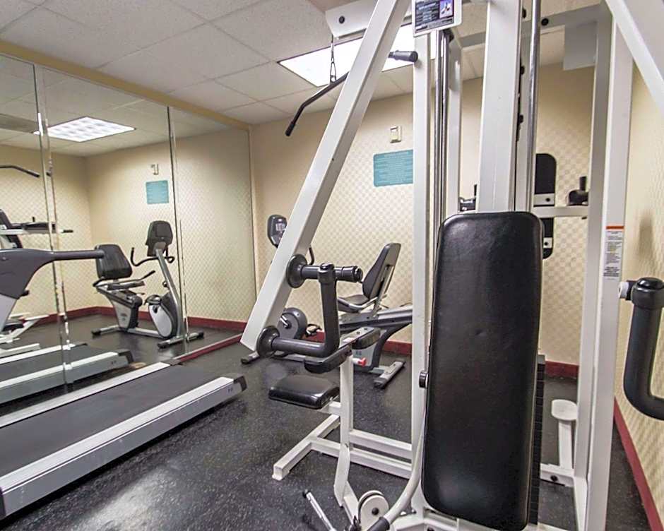 Comfort Inn & Suites Maingate South