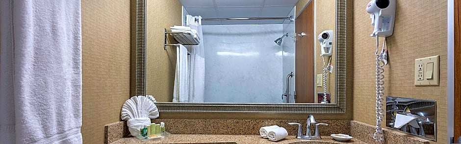 Holiday Inn New Orleans-Downtown Superdome By IHG