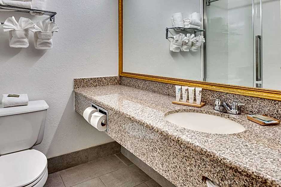 Country Inn & Suites by Radisson, Grand Rapids Airport, MI