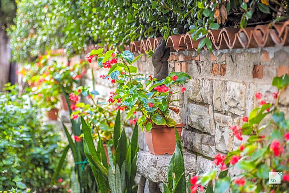 Hotel Alessandro Della Spina