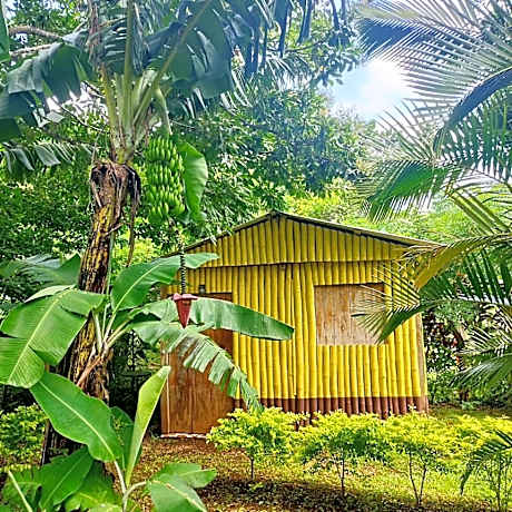 Cabañas Ixaya