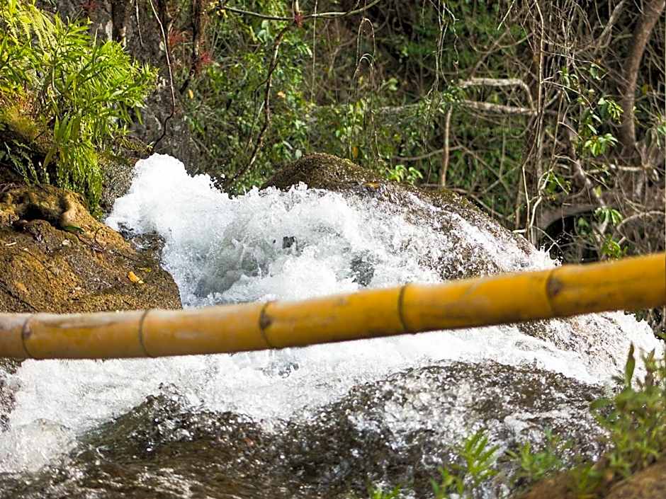 Reserva Ecologica Vive Copalitilla