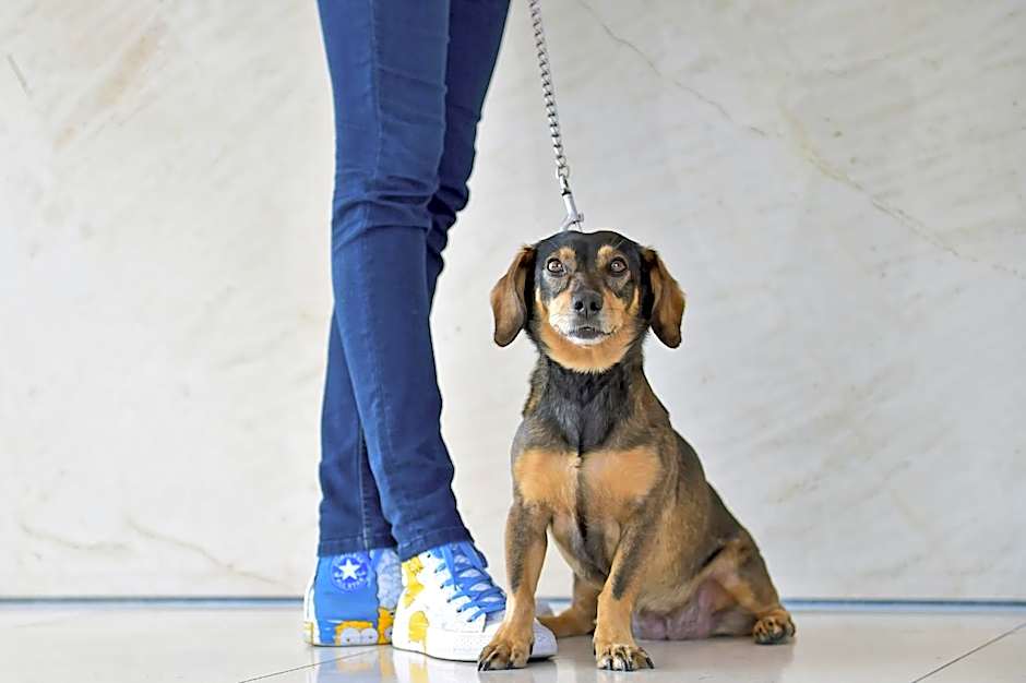 Pestana Berlin Tiergarten