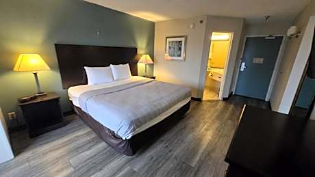Suite - King Bed