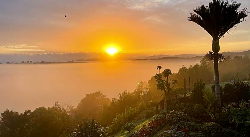 Bay Water Views Bed & Breakfast