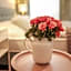 Hotel Pilgrim