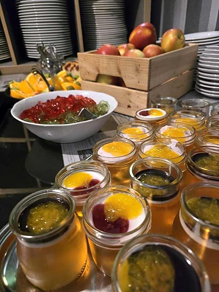 Economy Silesian Hotel