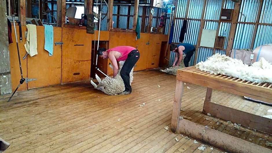 Little Red School House