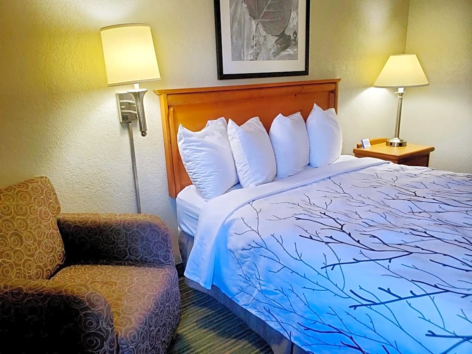 Days Inn and Suites by Wyndham Downtown Missoula-University