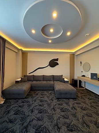 Deluxe One-Bedroom Apartment