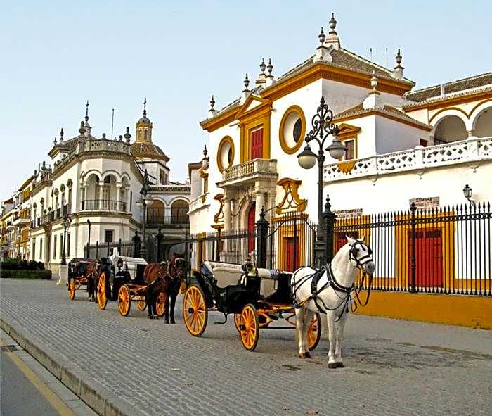 Hotel Lince