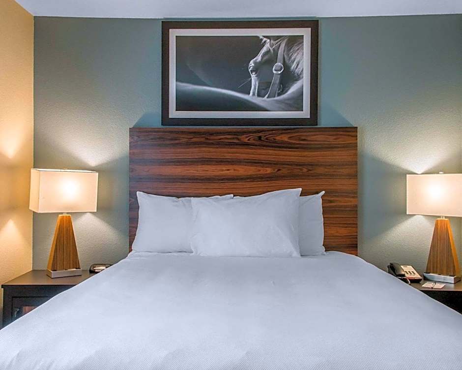 Photo 1 of 3 of 1 Queen Bed Suite, Accessible