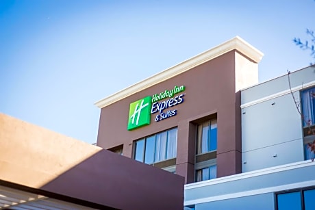 Holiday Inn Express Hotel & Suites Austin Airport, an IHG Hotel