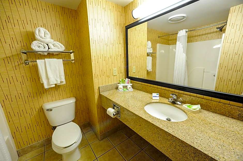 Holiday Inn Express & Suites Bowling Green by IHG