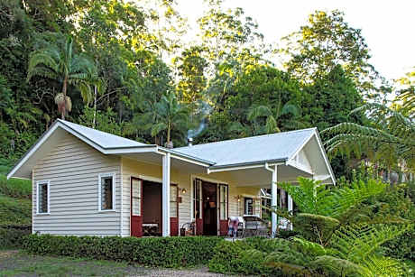 Nightcap Ridge - Byron Bay Hinterland