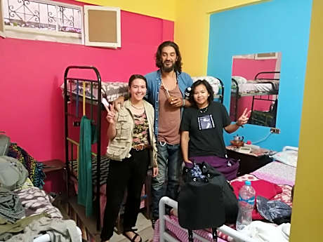 Bed in 4-Bed Mixed Dormitory Room