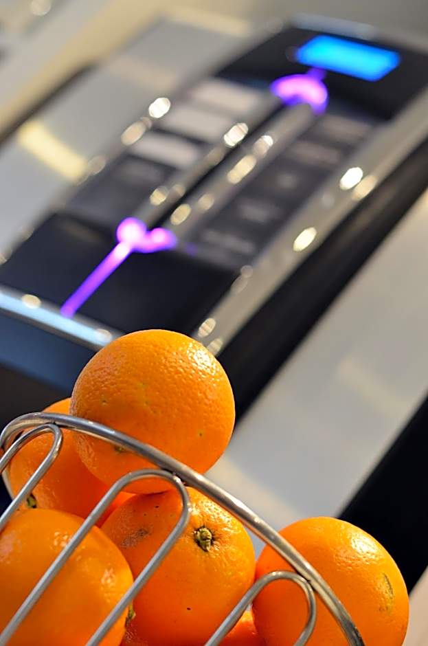 Best Western Dijon Centre Gare