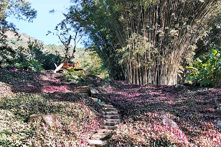 O Sitio - Ilha Grande