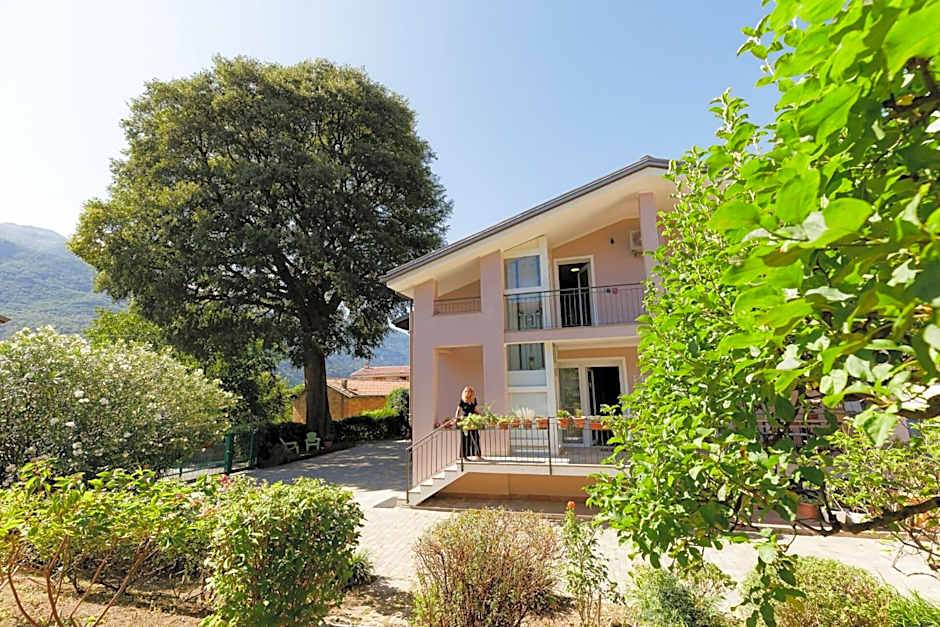 Bed & Breakfast L'Albero Maestro