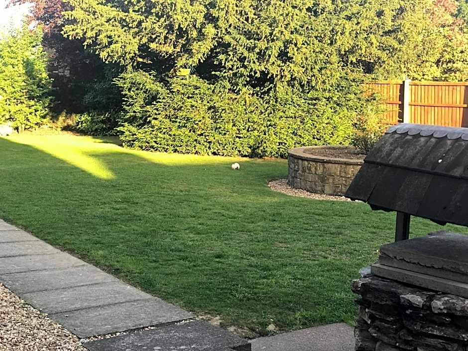 Whitton Lodge Business Vat inc