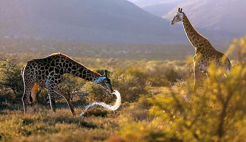 Samara Karoo Reserve
