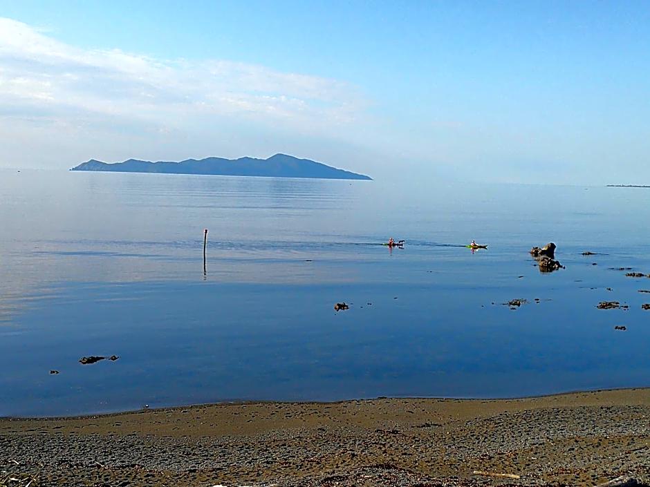 Kapiti Waves Bed & Breakfast