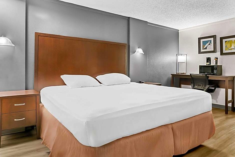 Rodeway Inn & Suites Saginaw I-675