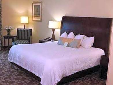 1 King Bed Junior Suite