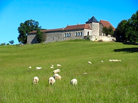 Nature et Piscine au sommet du Périgord
