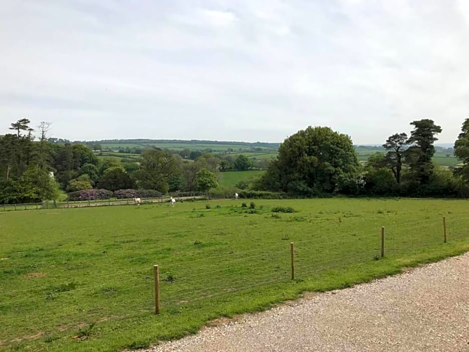 Stunning Shepherds Hut with Superb Views & Fire Pit near a Superb Gastro Pub