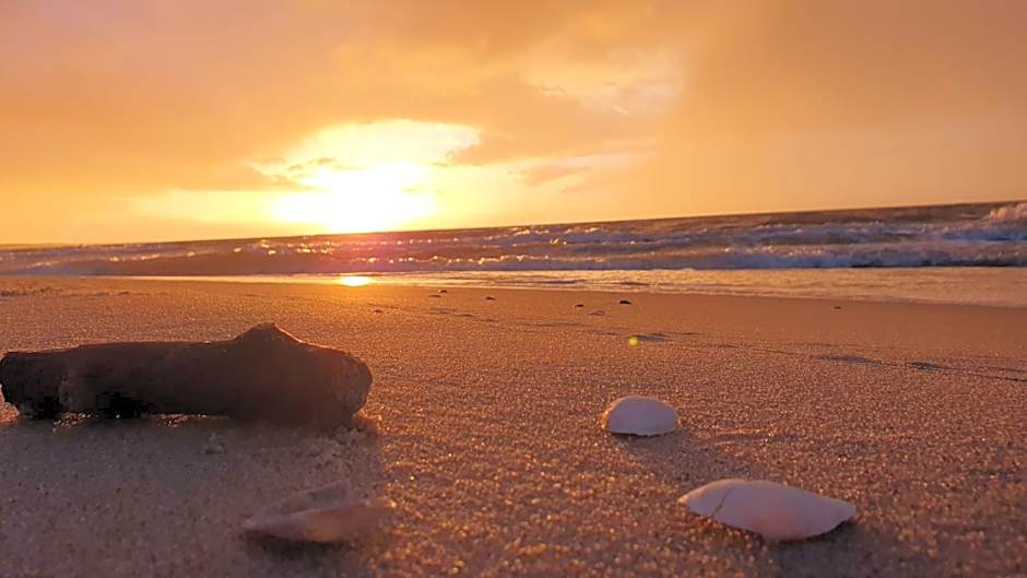 Domki nad morzem - Nevada