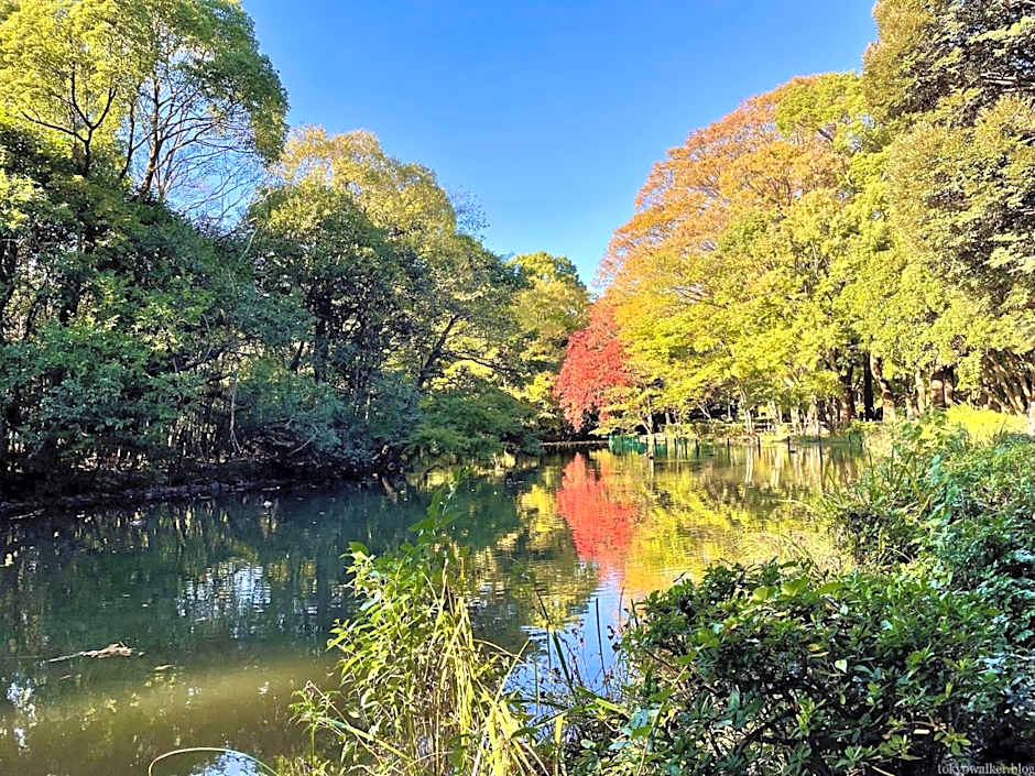高円寺中野Villa
