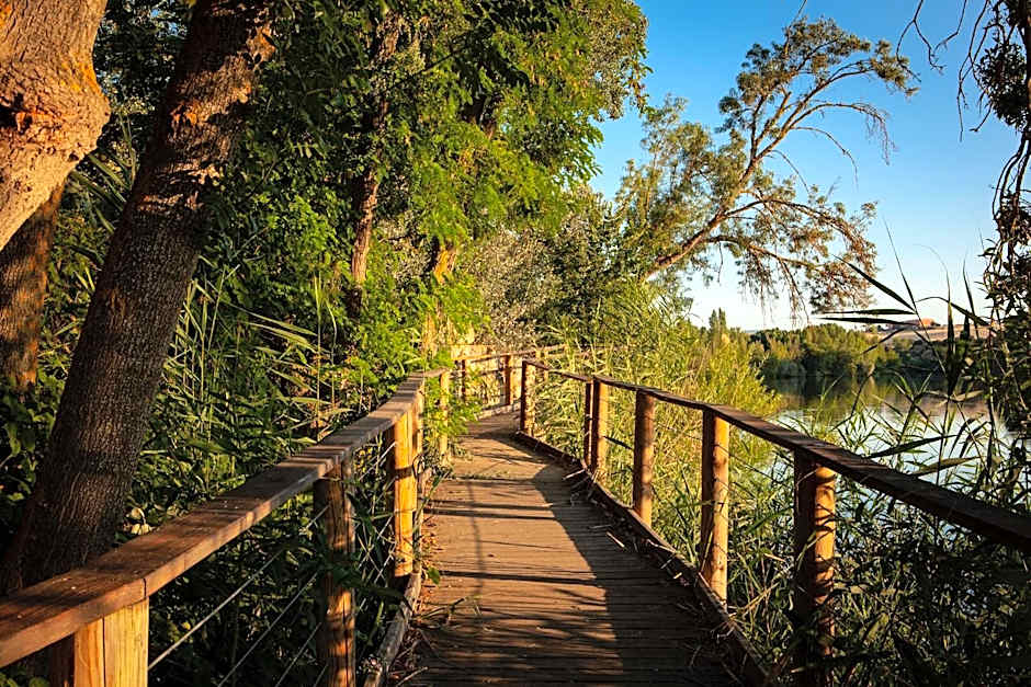 Hotel Doña Brígida  Salamanca Forum