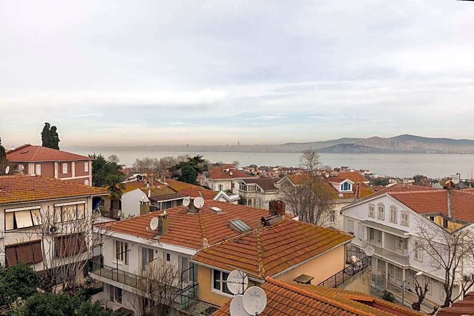 Büyükada Anastasia Meziki History Mansion