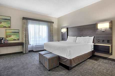 Executive King Suite - Non Smoking