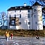 Burg Boetzelaer