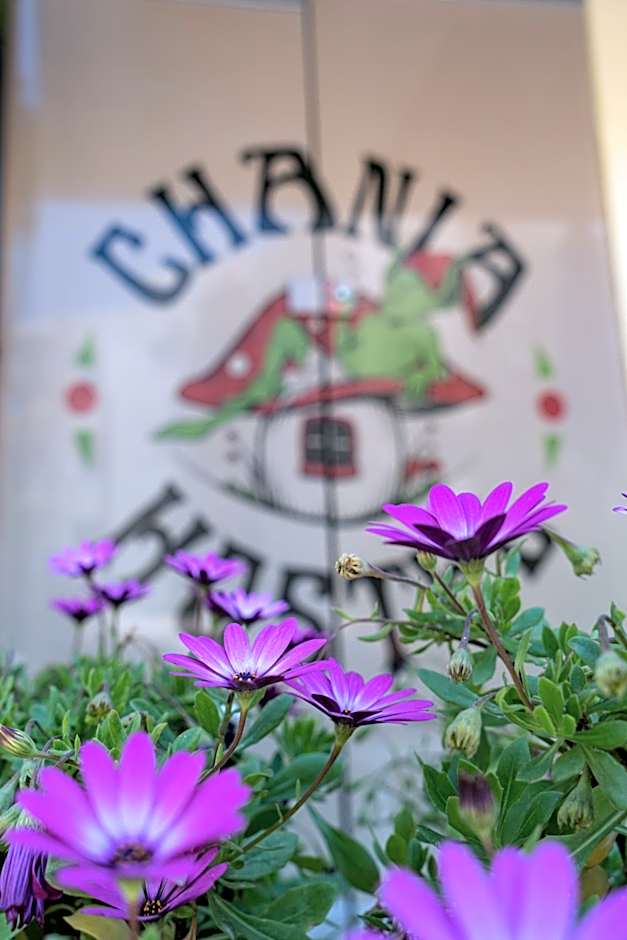 Chania Hostel Youth 18-50