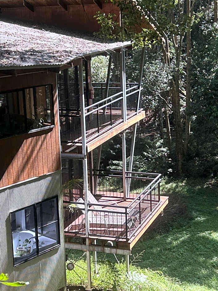 Ecoasis Mami Wata Rainforest Haven