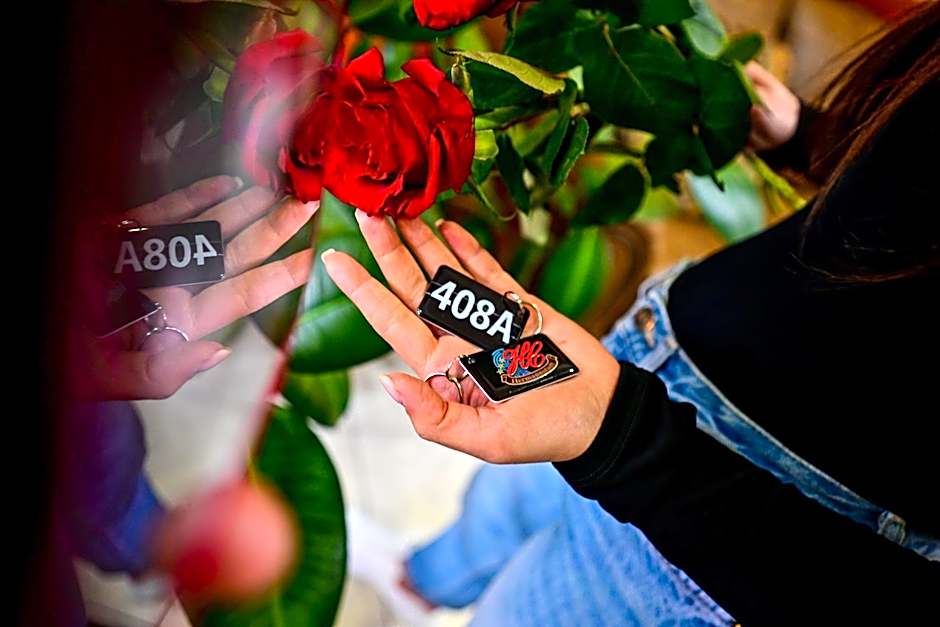 Hotel Class Hermannstadt