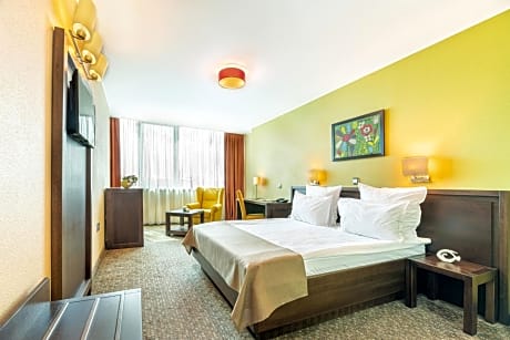 Business Double Room Danube View with Spa Access