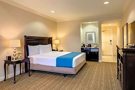 King Studio Suite - Disability Access